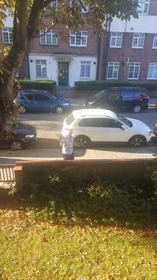 MUSIC20241's profile picture. 