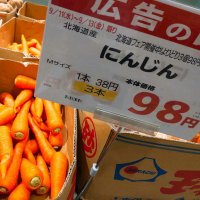 にんじん (@ninjinumaizo) Twitter profile photo