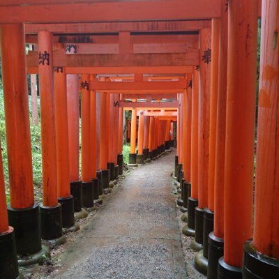 VRchatイベントジャンキーです(感想は気が向けば書く程度)
VRCイベント「オスに撫でられたくないですか!?ライト」「甘く撫でるのは君だけ。」「CLUB nightOWL」にCast所属
VRCイベントVibrantColorに黒服所属