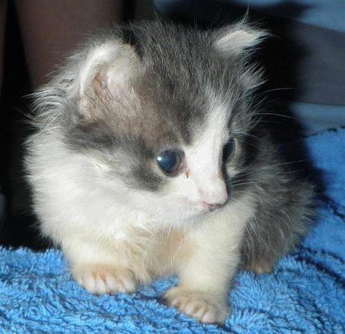 phreakwently's profile picture. I'm pretty boring! Follow me and find out.