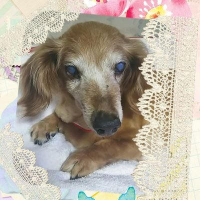 みつこ*未依さんのプロフィール画像
