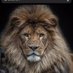 Animal Lover (@savewldlife3) Twitter profile photo Animal Lover (@savewldlife3) Twitter profile photo