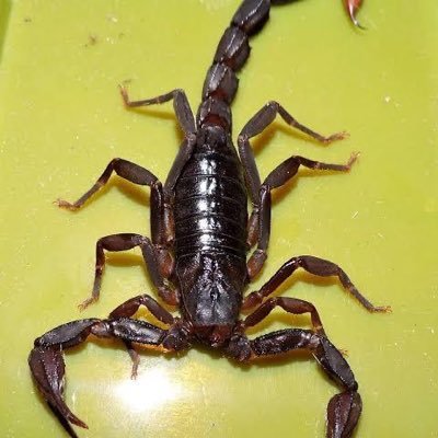 jluissanchezmu1's profile picture. 