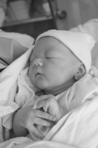 KiwiBaby2010's profile picture. Love warm home brewed milkshakes, relaxing and snoozing. I'm the CEO and boss of my house.