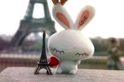 Frida_F292's profile picture. 