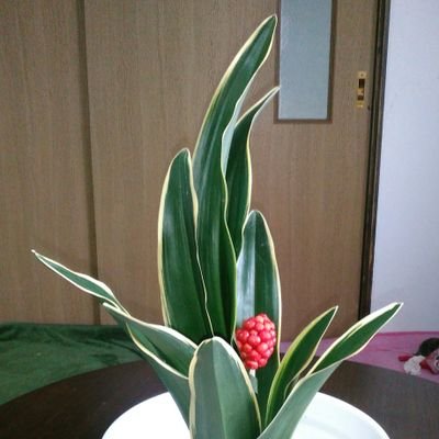 ejZXkKR9hPd3nhQ's profile picture. 地図は大好き、最近は紙地図を見なくなりました。俳句もかじってます。英語韓国語中国語の会話に興味あり。