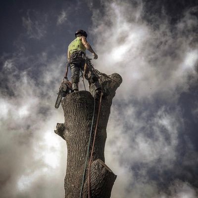 Full-scale tree service in Tulsa, OK. ISA Certified Arborists. TRAQ. CTSPs. EHAP. NCCER Crane Certified Operators. TCIA Accredited.