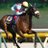 競馬大好きおじさん