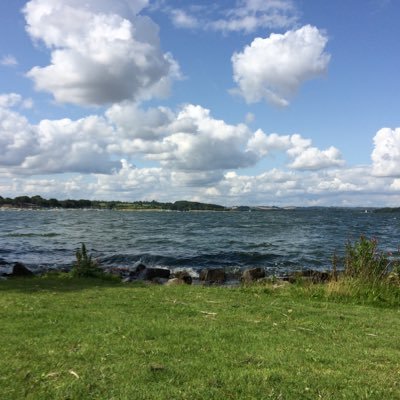 alemesurier's profile picture. 