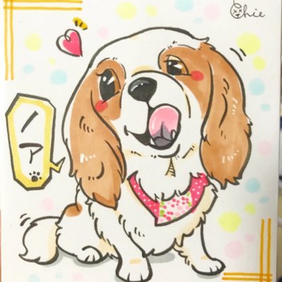 gonbirthday4's profile picture. 宮城→愛知✈️キャバリア大好きノアは13才🐶/橋本病2021年〜/リウマチ2023年11月〜毎日どっか痛い2025.2〜不妊治療開始→2026年5月9日出産予定初マタ☺️