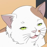 いま様•*¨*•.¸♬︎専用ページ 高山箕犀 (@udontec) / X