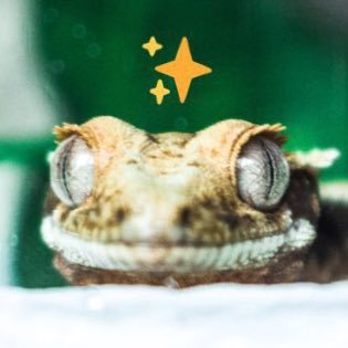 크레커🦎🦎🦎🦎까까さんのプロフィール画像