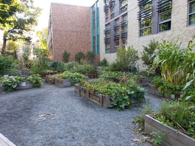 Official Twitter account for the Florida Ruffin Ridley School Garden Outdoor Classroom!