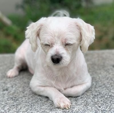언제나 꿈은 너이길