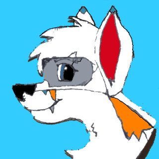 Swifty the Arctic (lonely autism fox)さんのプロフィール画像