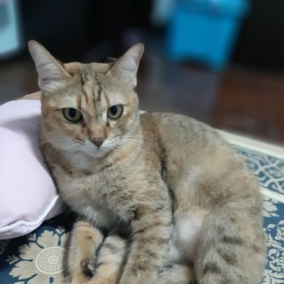 mynameis0504's profile picture. 