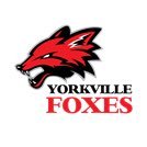 Yorkville High School-Wellness Division Chair-Assistant Football Coach