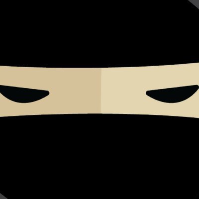 CodeNinjas of Pittsford, NY - promoting programming, teamwork, and problem solving in the Rochester Area.