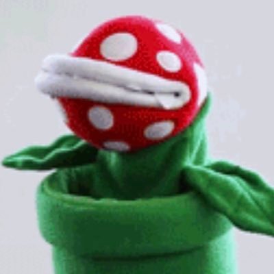 SheepGangsta's profile picture. 19|M baa