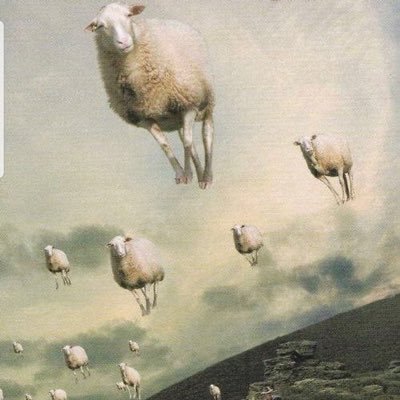 Psicologo della Mutua. Fan di Loretta Goggi. Musica. Politica. Economia. Calcio.