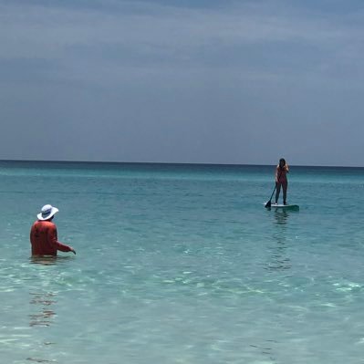 a_bond02's profile picture. WPS