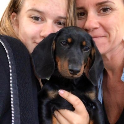 Hii I’m Ruud the dachshund🐶 Born in Holland🇳🇱 18-06-2019🎂 I love food and my family ❤️ follow my instagram : sheriff_ruud