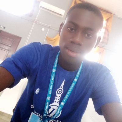 IleladewaE's profile picture. software developer, web developer and Data scientist