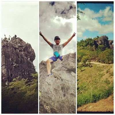 ArchMarh's profile picture. An Architect and plants enthusiast