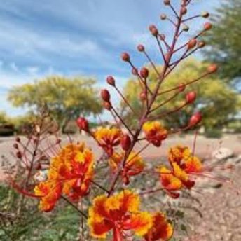 Southern Alberta Educator who loves spending time in AZ, advocate for happy and healthy kids, reframing traditional thought and methods in literacy and numeracy