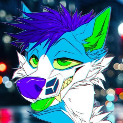 Rocket🚀さんのプロフィール画像