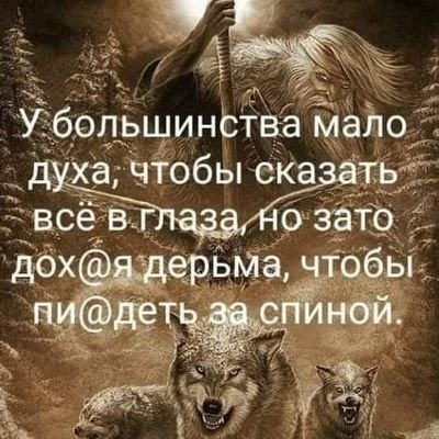 zaur7766's profile picture. 