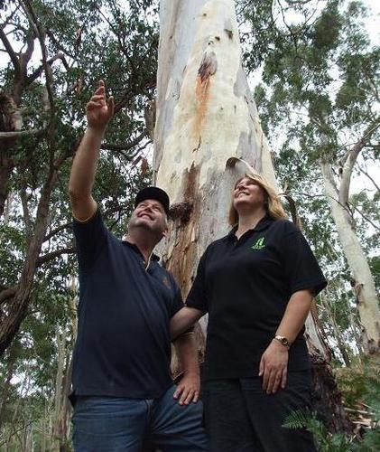 Sinclair's Gully .... conservation in a glass.
Sip on a glass of wine in our towering candlebark forest.
Don't miss the hills only eco-certified cellar door.