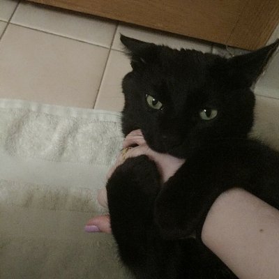 HannahWasag's profile picture. 