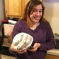 sharpest of cheeses (@incog) 's Twitter Profile