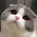 mmmmmmh (@_mushroomm) Twitter profile photo mmmmmmh (@_mushroomm) Twitter profile photo
