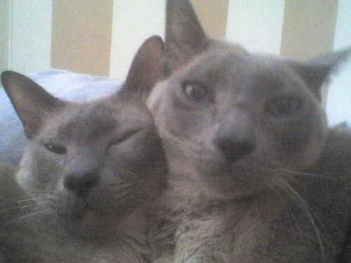 LandPolly's profile picture. 