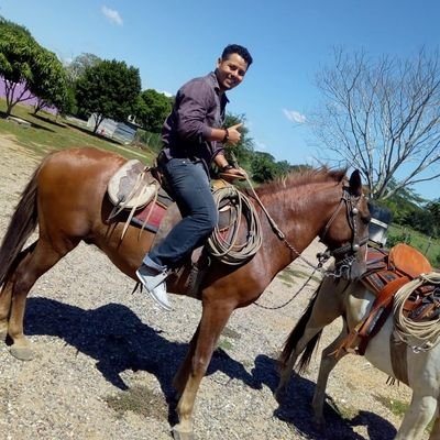 clarkolmos's profile picture. Mi nombre de perfil es porque me encantaba esa série y soy tabasqueño