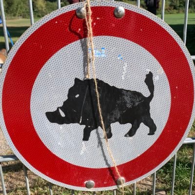 cyberkeiler's profile picture. to be or not Toby ...