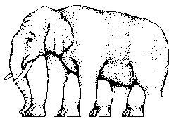 Kasper Profile