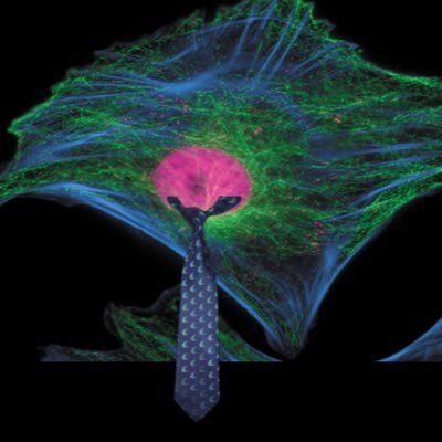 We believe in a country with structure! Vote for what we need, not what we want. Cytoskeleton for President 2019.