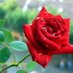 ASIF (@asif58022793) Twitter profile photo ASIF (@asif58022793) Twitter profile photo