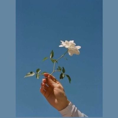 haifa3319's profile picture. 