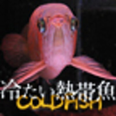 冷たい熱帯魚 Coldfish Film Twitter 冷たい熱帯魚 Coldfish Film Twitter