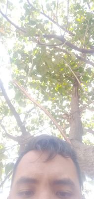 amsah_iki's profile picture. urip iku urip