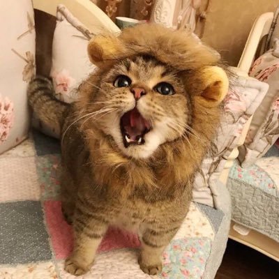 Стакан, который всегда полон. Полон алкоголя и разочарований