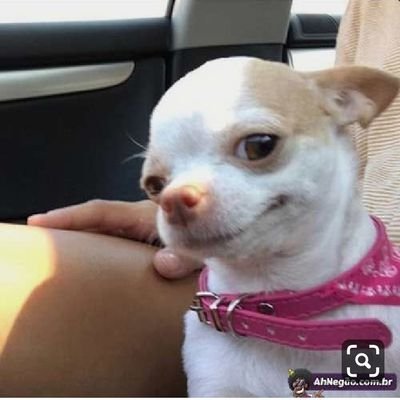 Gabii16078658's profile picture. 