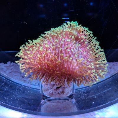 Kazuya25670088's profile picture. 