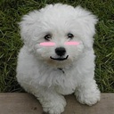 Darwin Erickson - @Darcsckson - Twitter