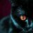 shenhou's profile image