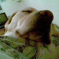 Sergio Matone 🇮🇹🏴󠁧󠁢󠁳󠁣󠁴󠁿 (@sw360cab) 's Twitter Profile Photo